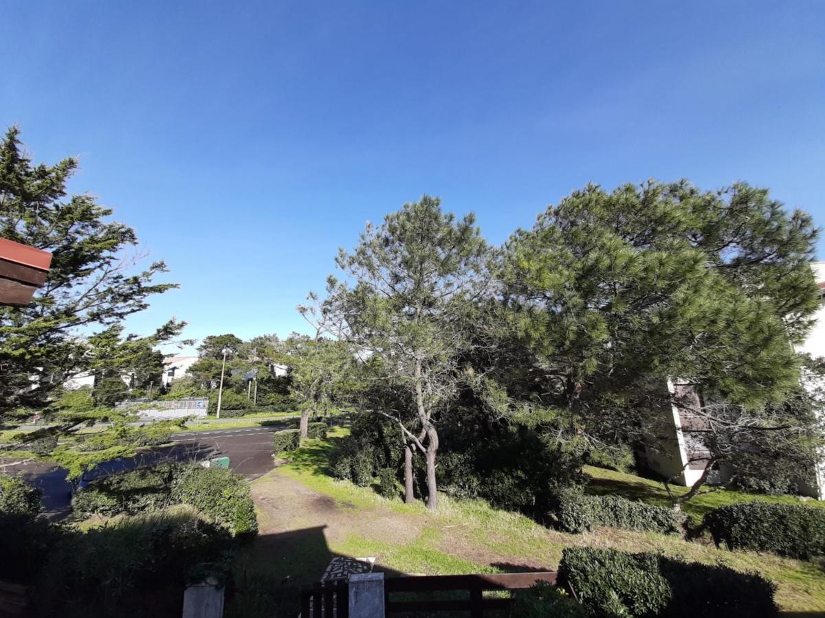 Maison Seignosse, 3 pièces, 4 personnes - FR-1-239-385 Esterno foto